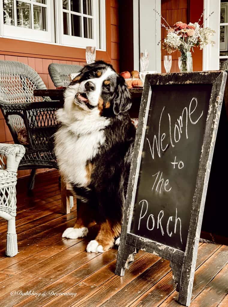Bernese Mountain Dog and  Welcome to the  Porch Chalkboard.