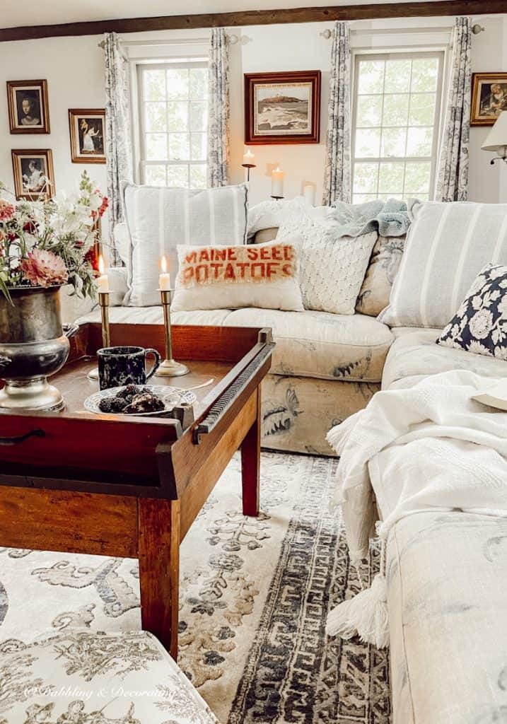 Cozy Couch Moments