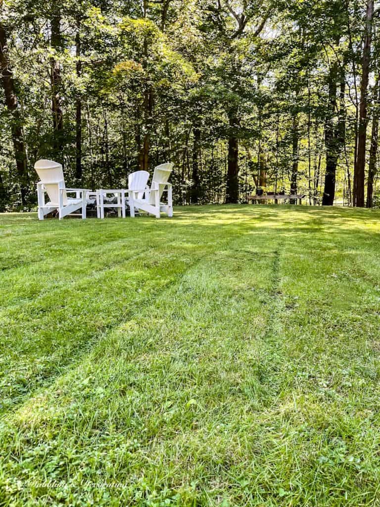 Green Lawn at summer's end.