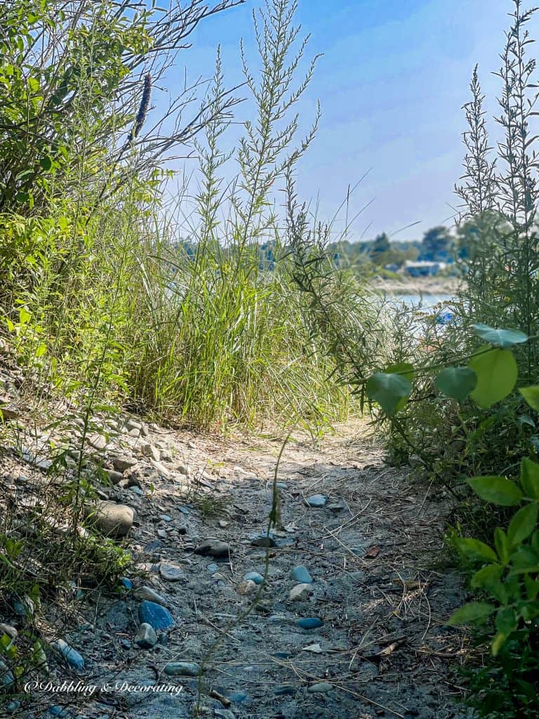 Summer Beach Pathway