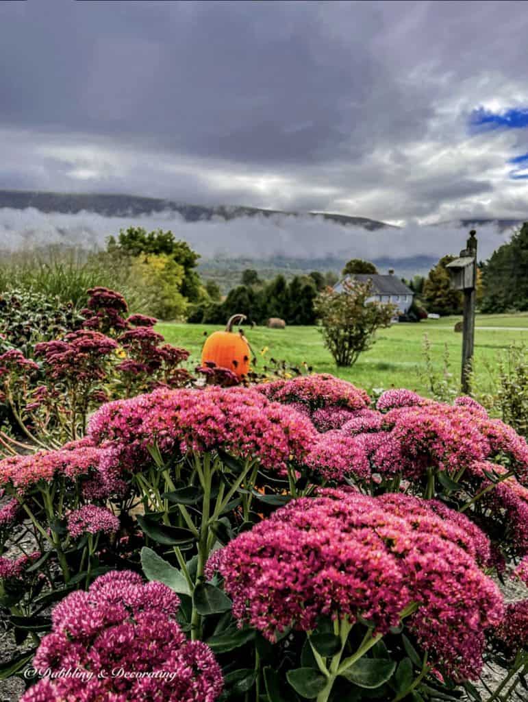 Vermont Foliage with Mountain Views.