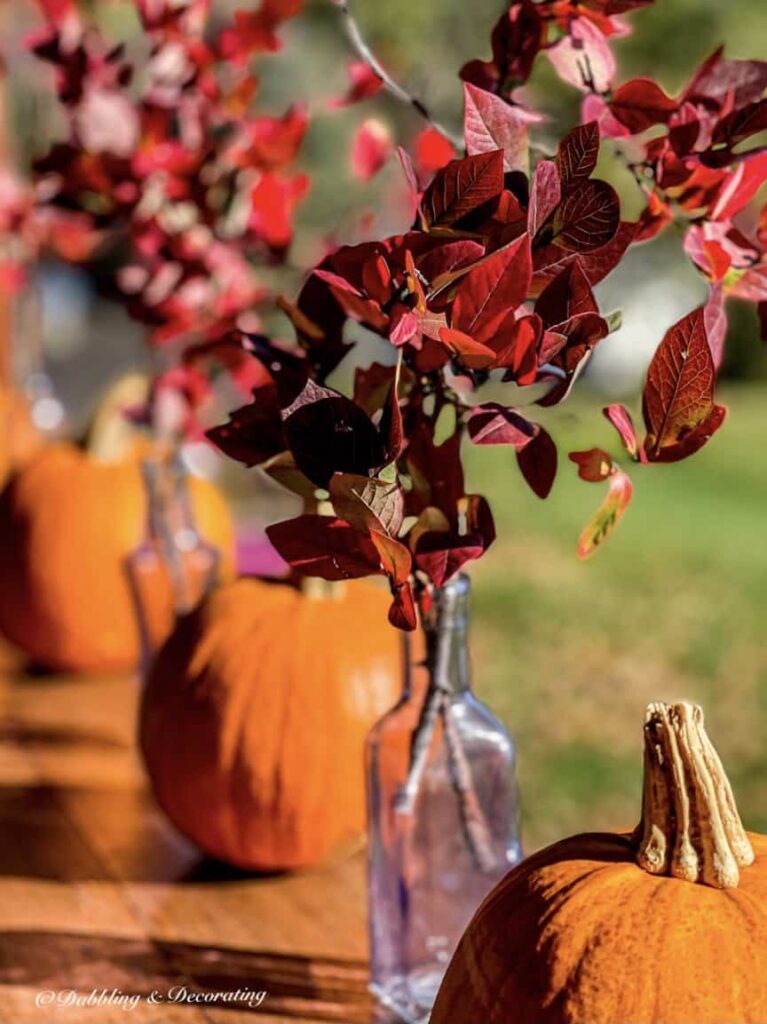 Close up of amethyst bottle with foraged fall red branches with pumpkins on outdoor front porch table.