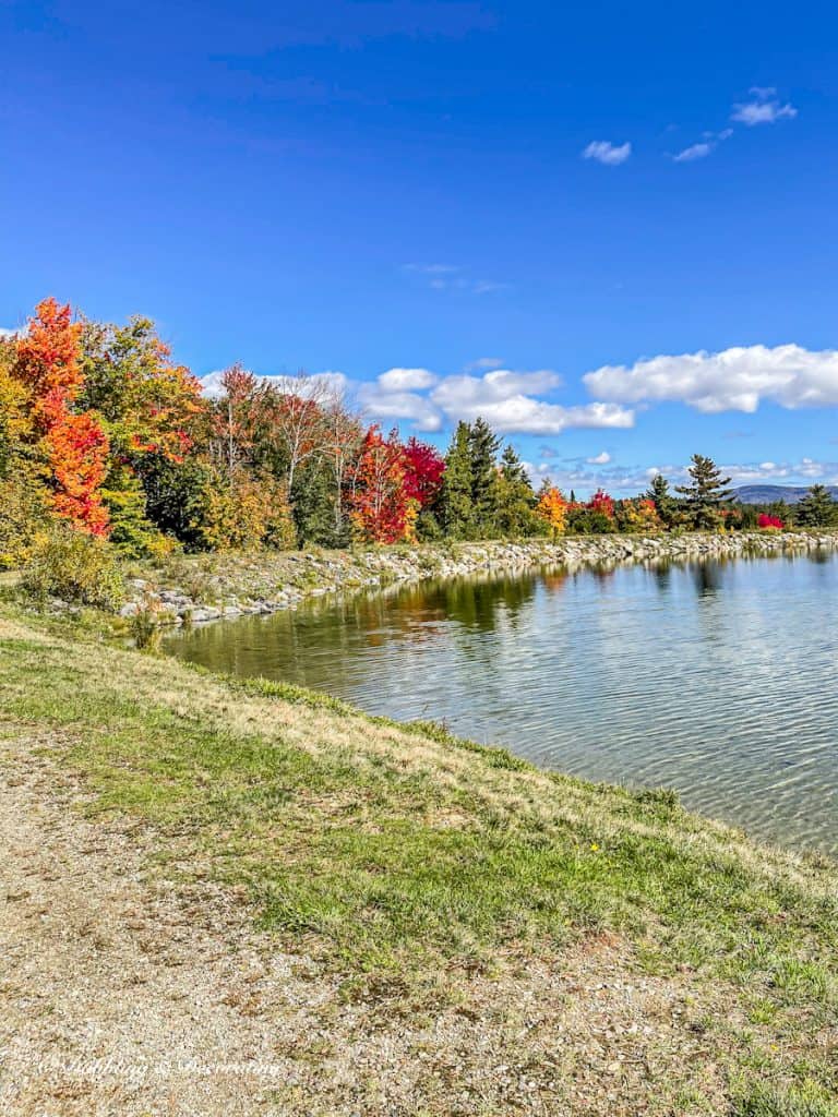 Vermont Foliage