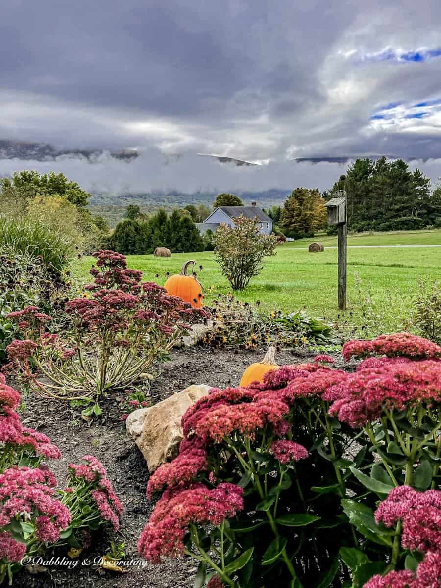 Backyard Mountain Views