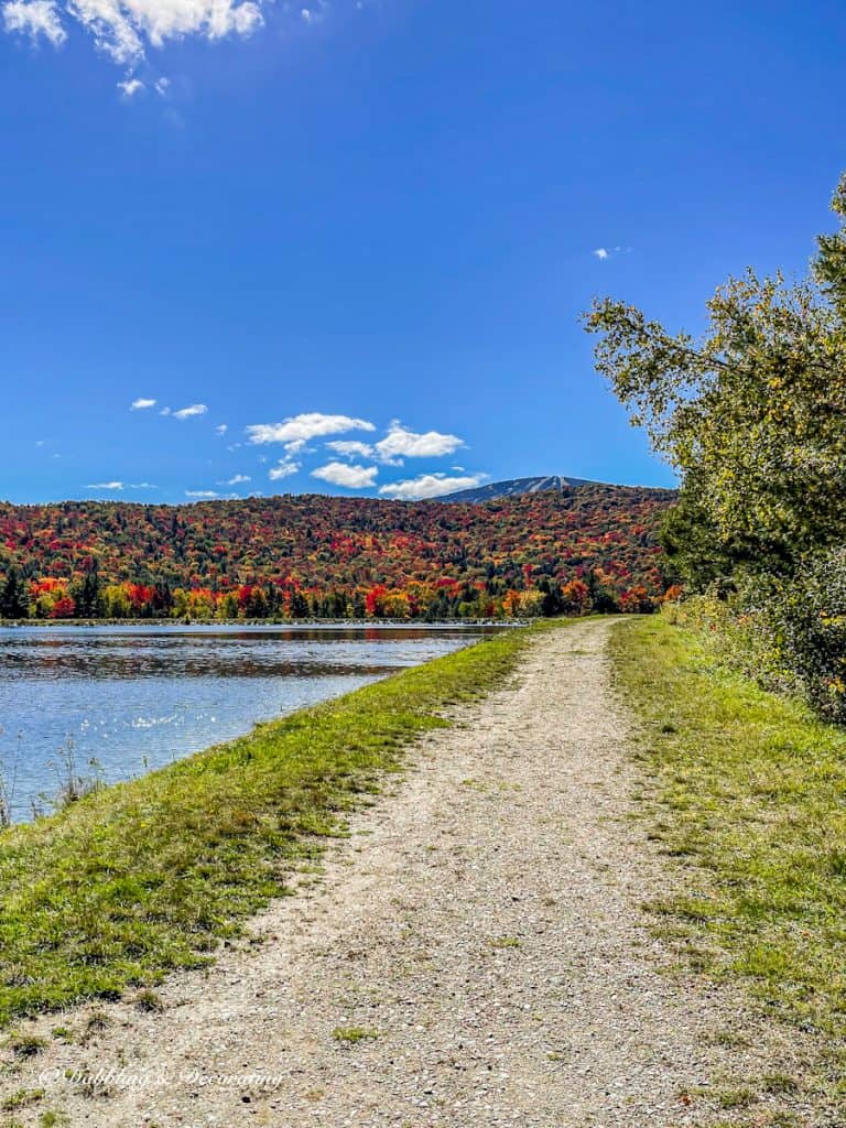 Vermont Foliage