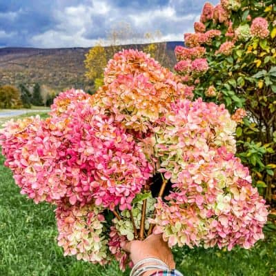 Vermont Foliage Home Tour
