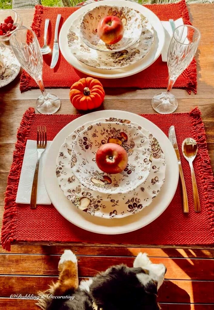Fall tablescape with Johnson Brothers with Bernese Mountain Dog under table all on an outdoor porch for fall.