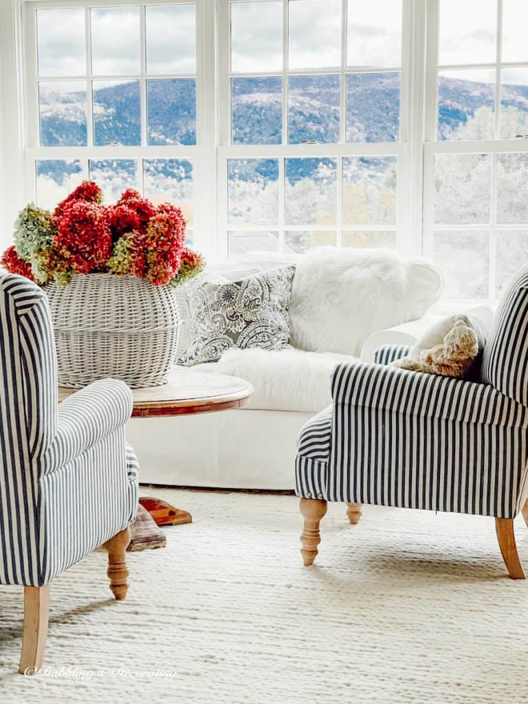 Blue and White  Sunroom