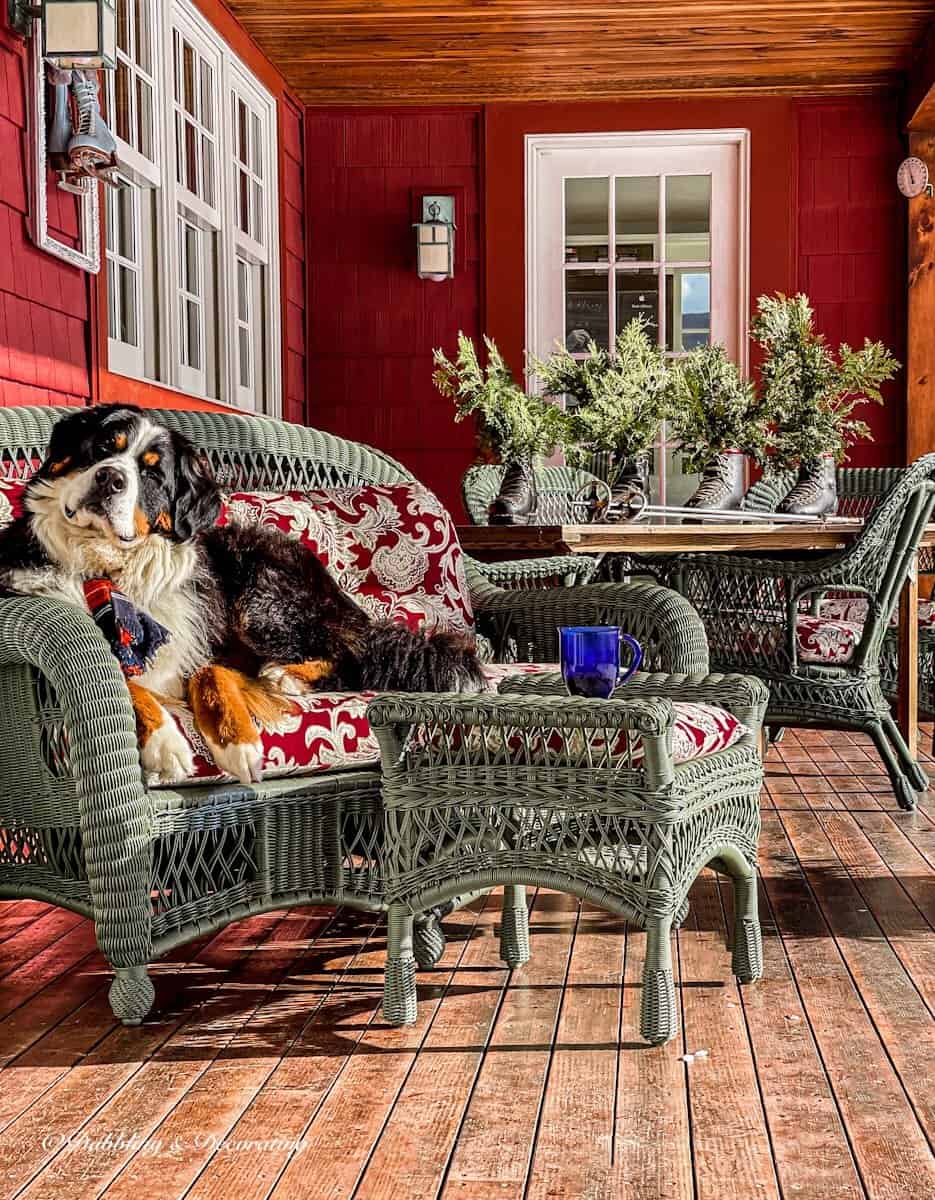 Winter decor style porch with Bernese Mountain Dog sitting on wicker love seat with plaid scarf in vintage ski lodge decor.