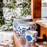 Blue and White Chinoiserie Pots with Evergreens