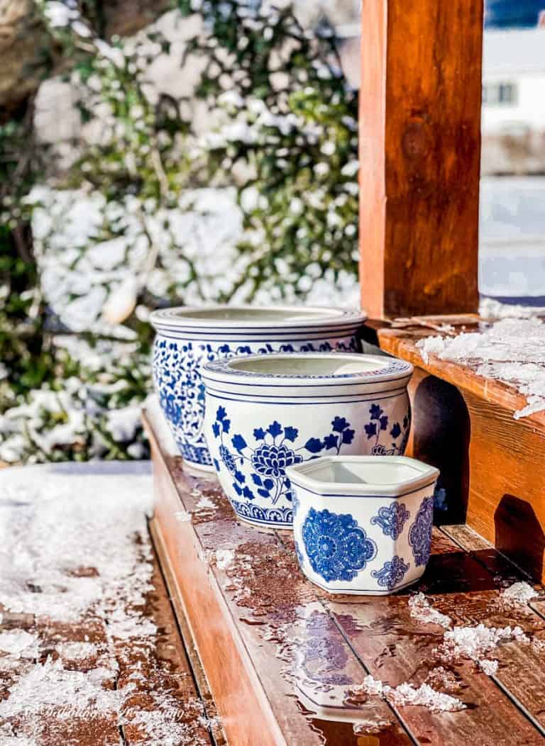 Blue and White Chinoiserie Pots with Evergreens