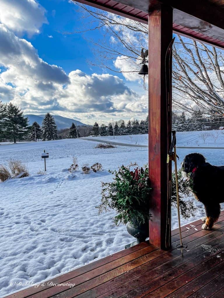 Ski Lodge Vintage Skis and Winter Evergreens and bernese mountain dog