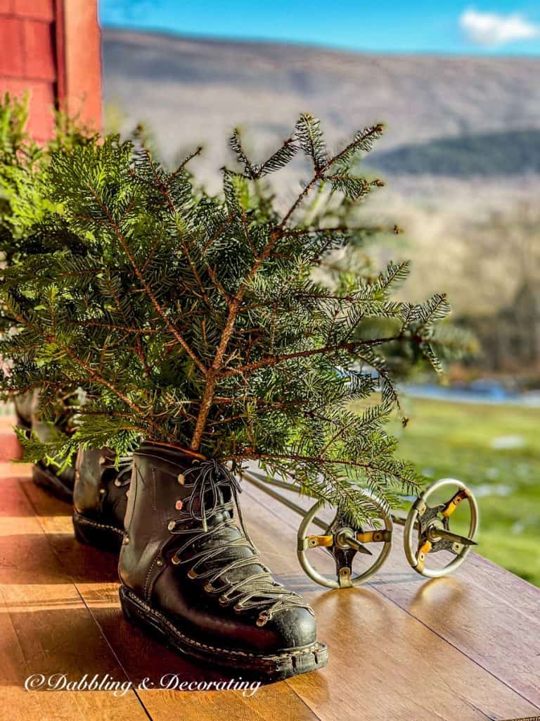 Ski Boots with Greenery