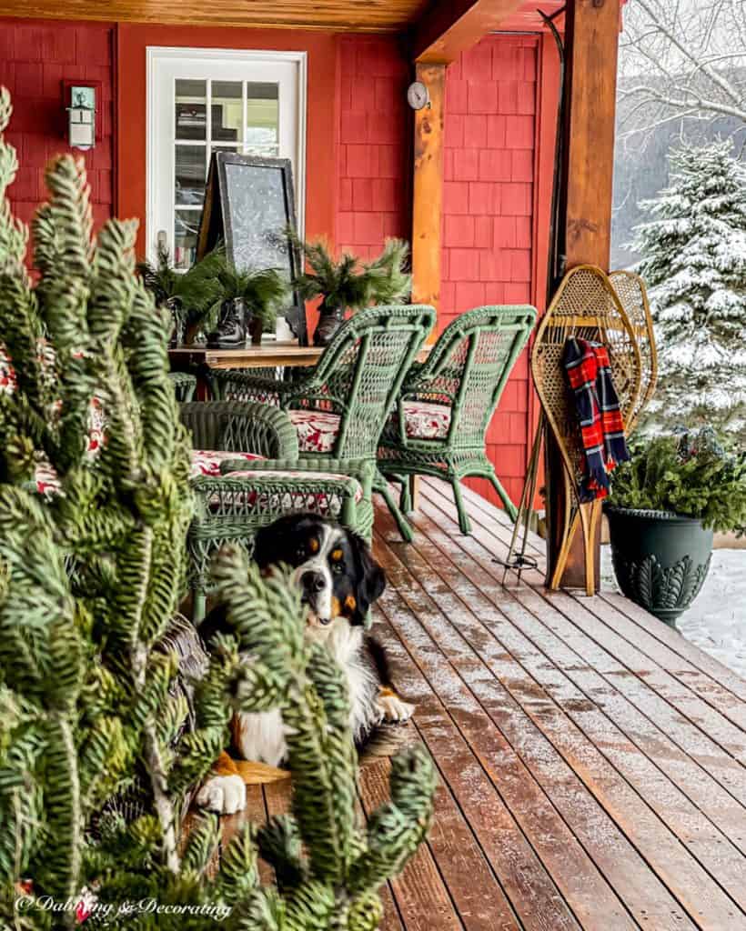 Winter Porch with Dog