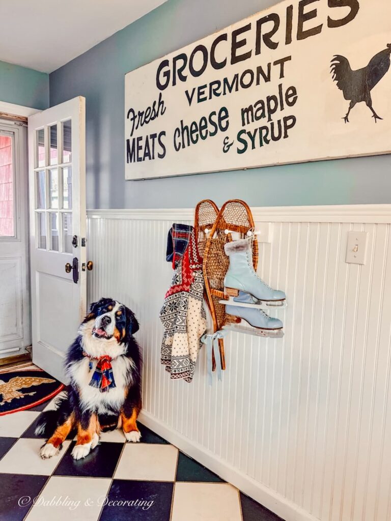 Vintage wooden snowshoes with blue ice skates and ski sweater on wall wall hook with Bernese Mountain Dog on checkered flooring in entryway.