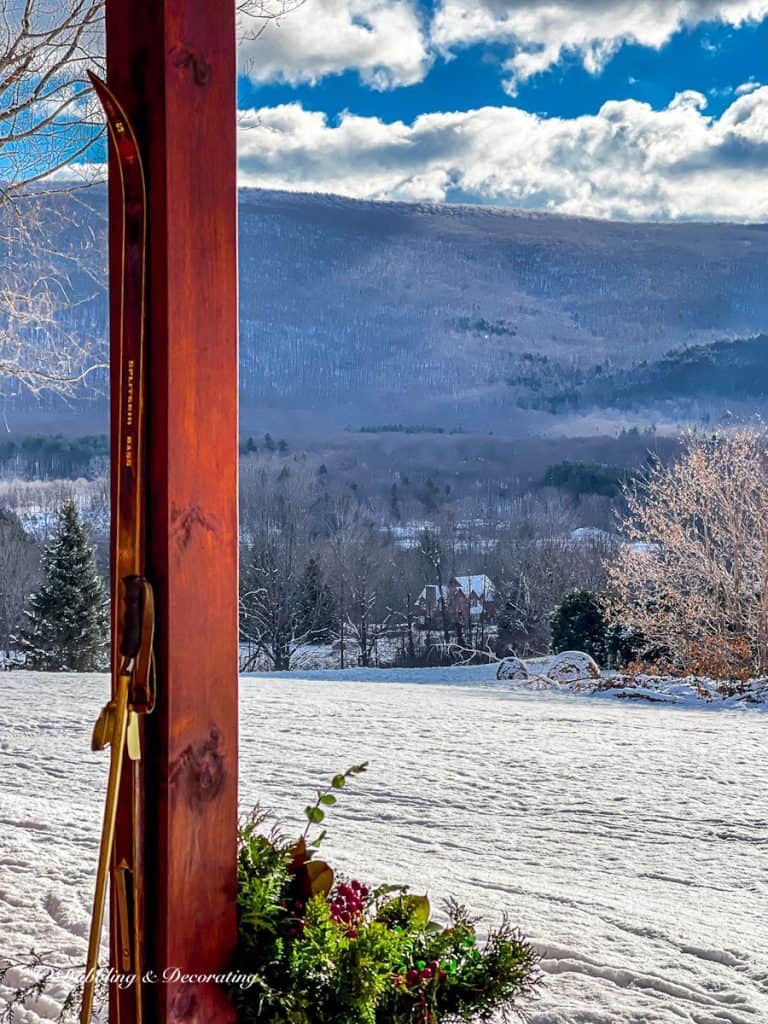 Ski Lodge Vintage Skis and Winter Evergreens