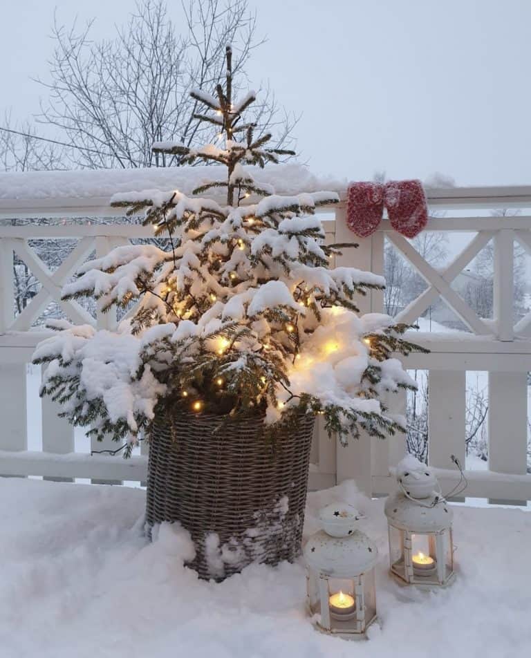 Christmas Tree in basket at Sweden home outdoors on the porch in snow with lit candles and red mittens.