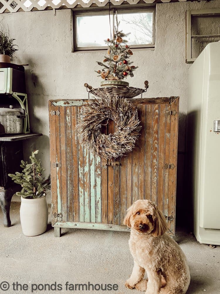 Dog and Cabinet