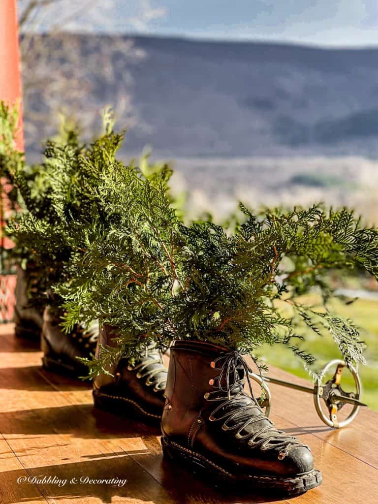Vintage ski boots with evergreens on porch table.
