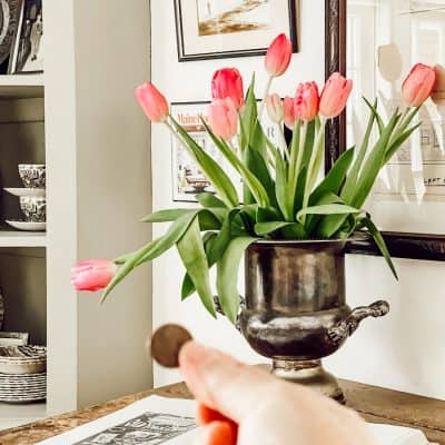 How a Penny Can Keep Tulips From Drooping