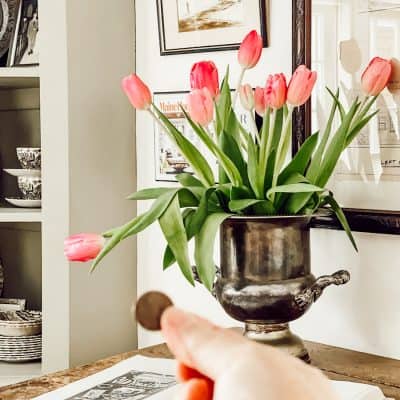 How a Penny Can Keep Tulips From Drooping