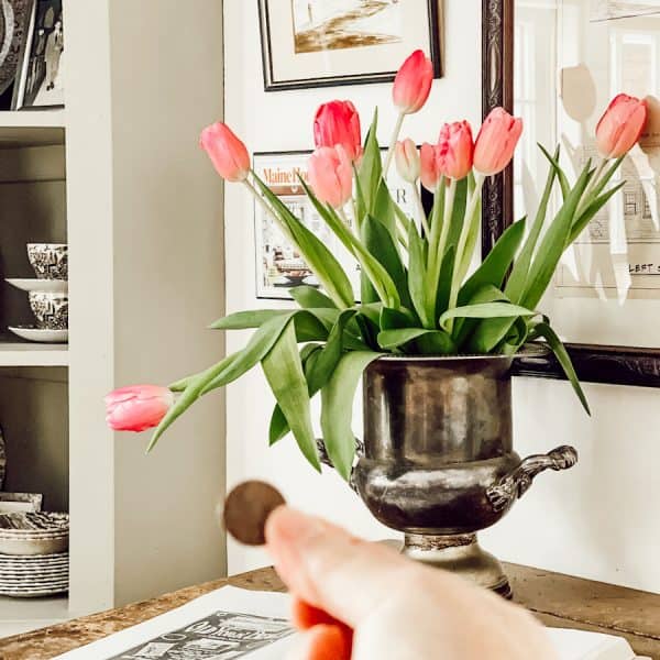 How a Penny Can Keep Tulips From Drooping Dabbling & Decorating