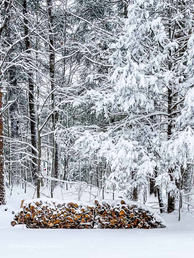 Firewood pile in the snow.