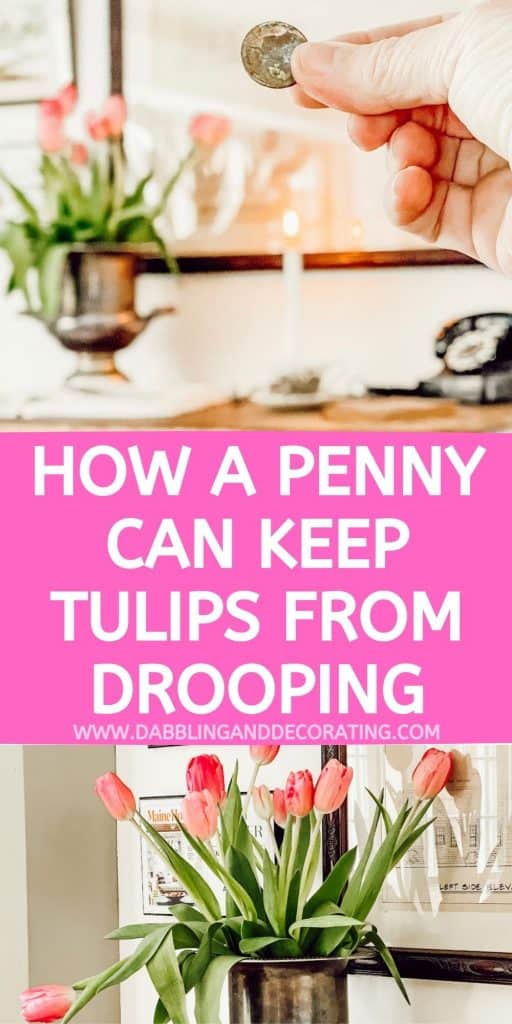 How a Penny Can Keep Tulips From Drooping