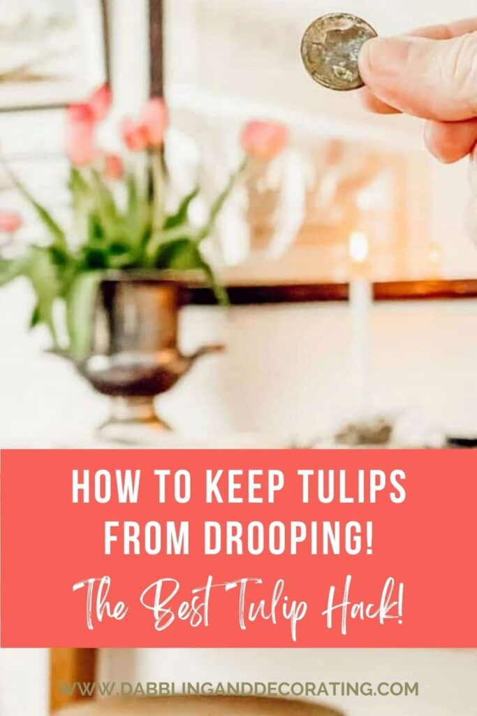 How a Penny Keeps Tulips From Drooping
