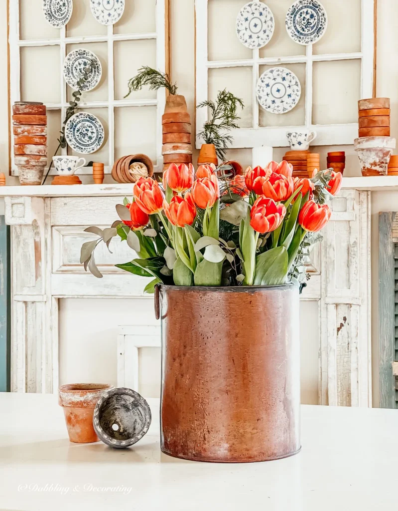 Spring Tulips and Terracotta Pots and salvaged windows