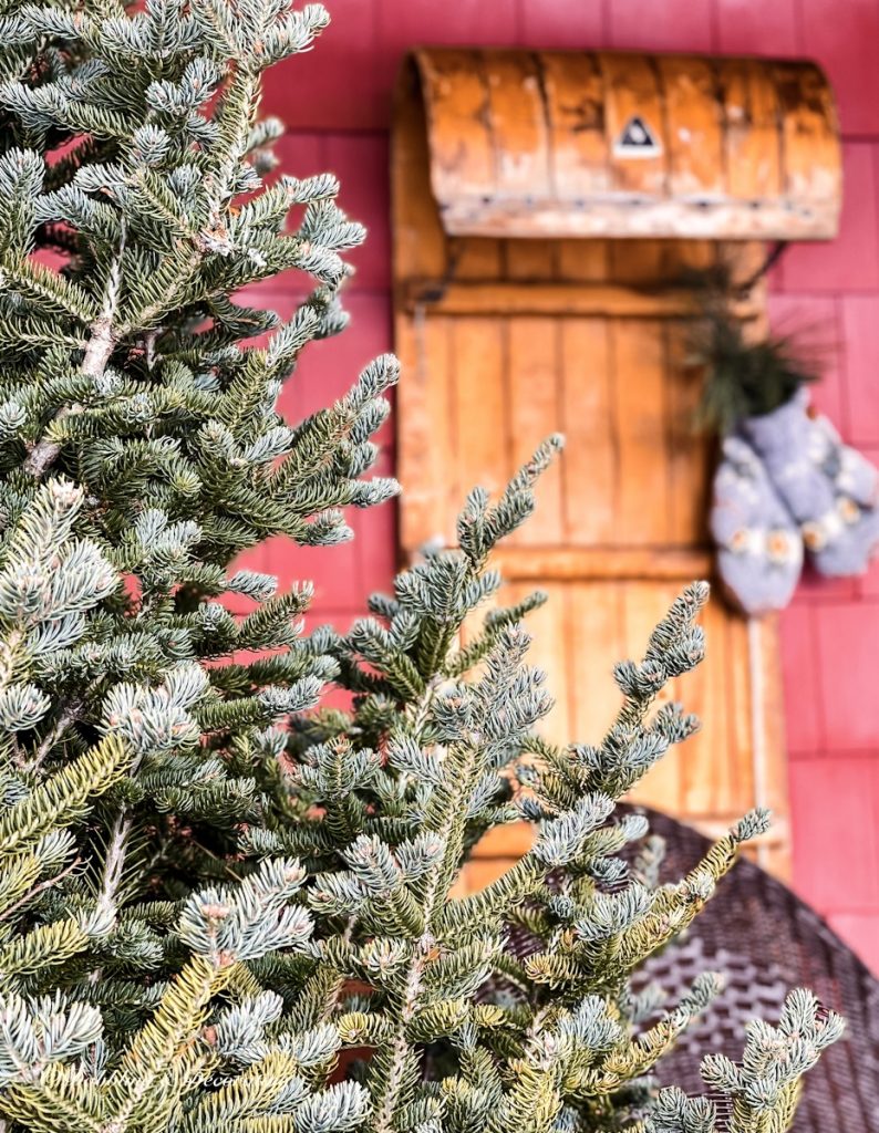 Vintage wooden sled decor on winter porch.
