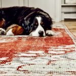 Dog and Vintage Rug Runner