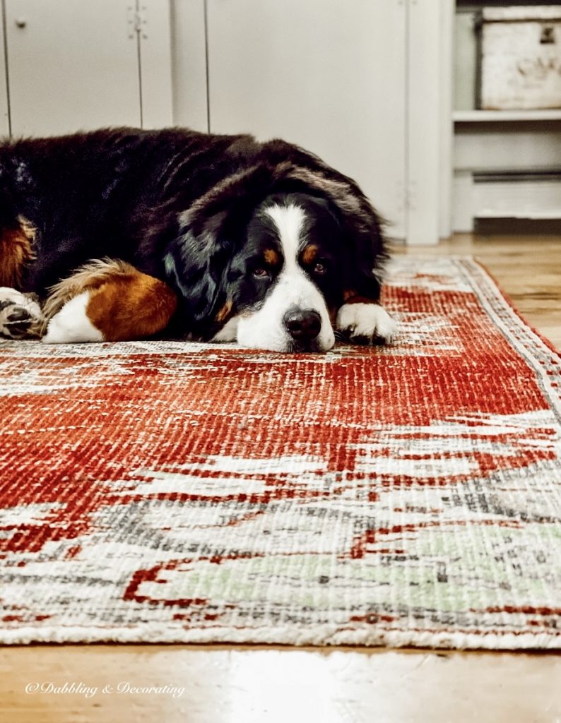 Dog and Vintage Rug Runner