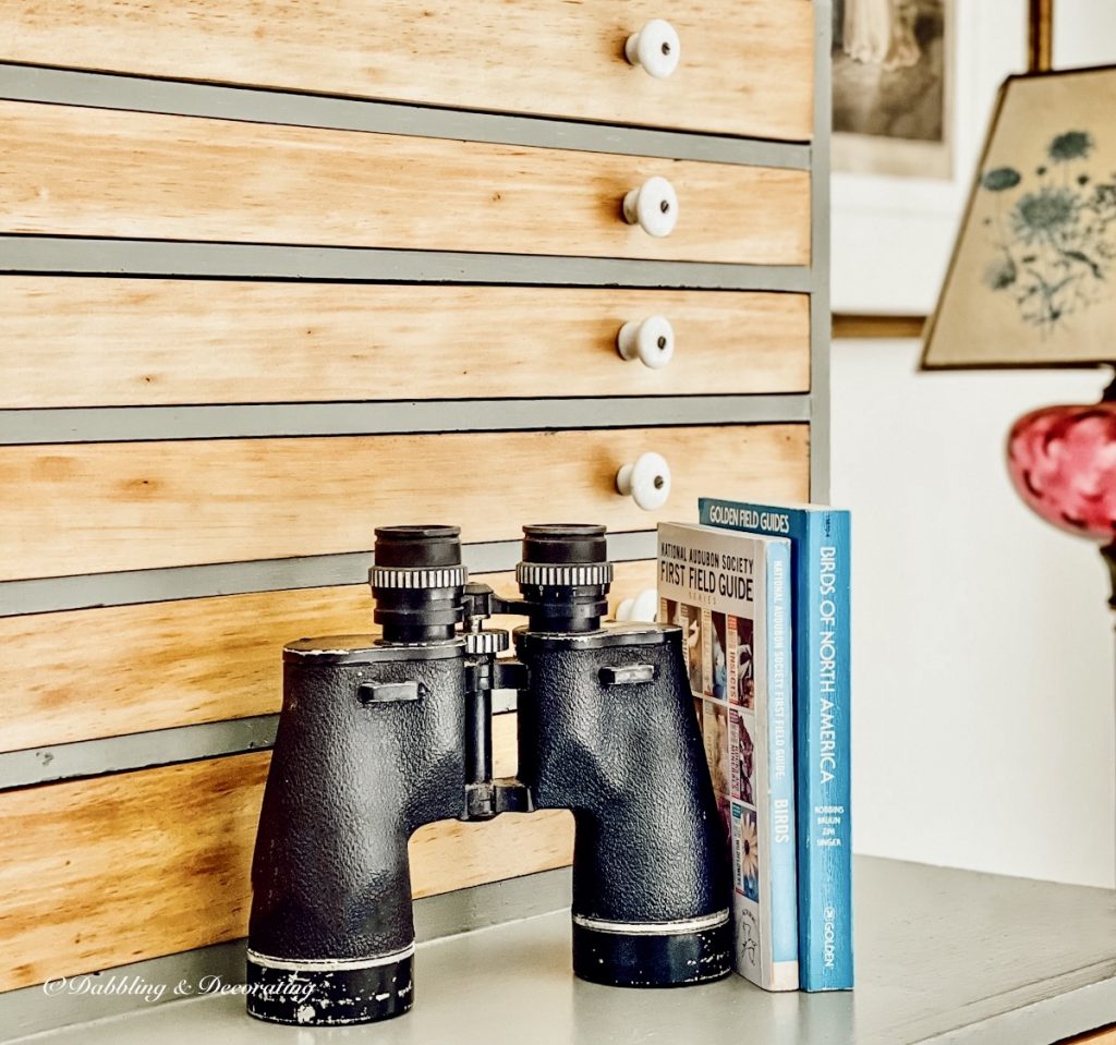 Binoculars and books on vintage hutch.