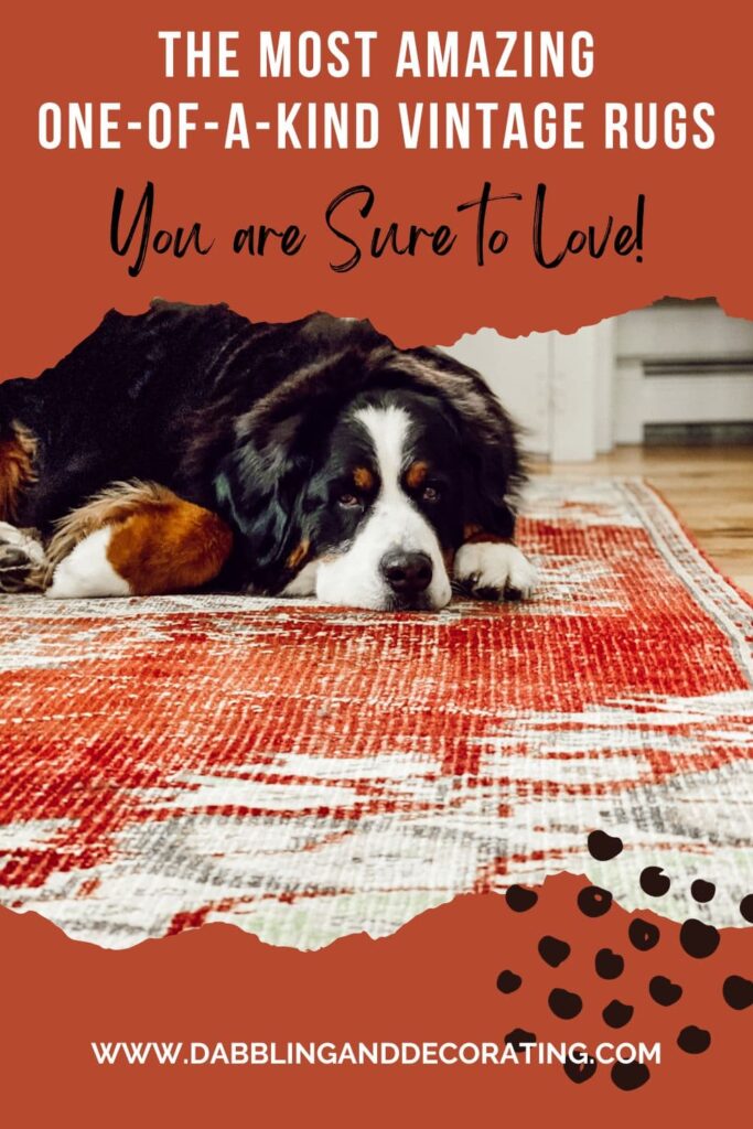 Vintage Rug with Bernese Mountain Dog