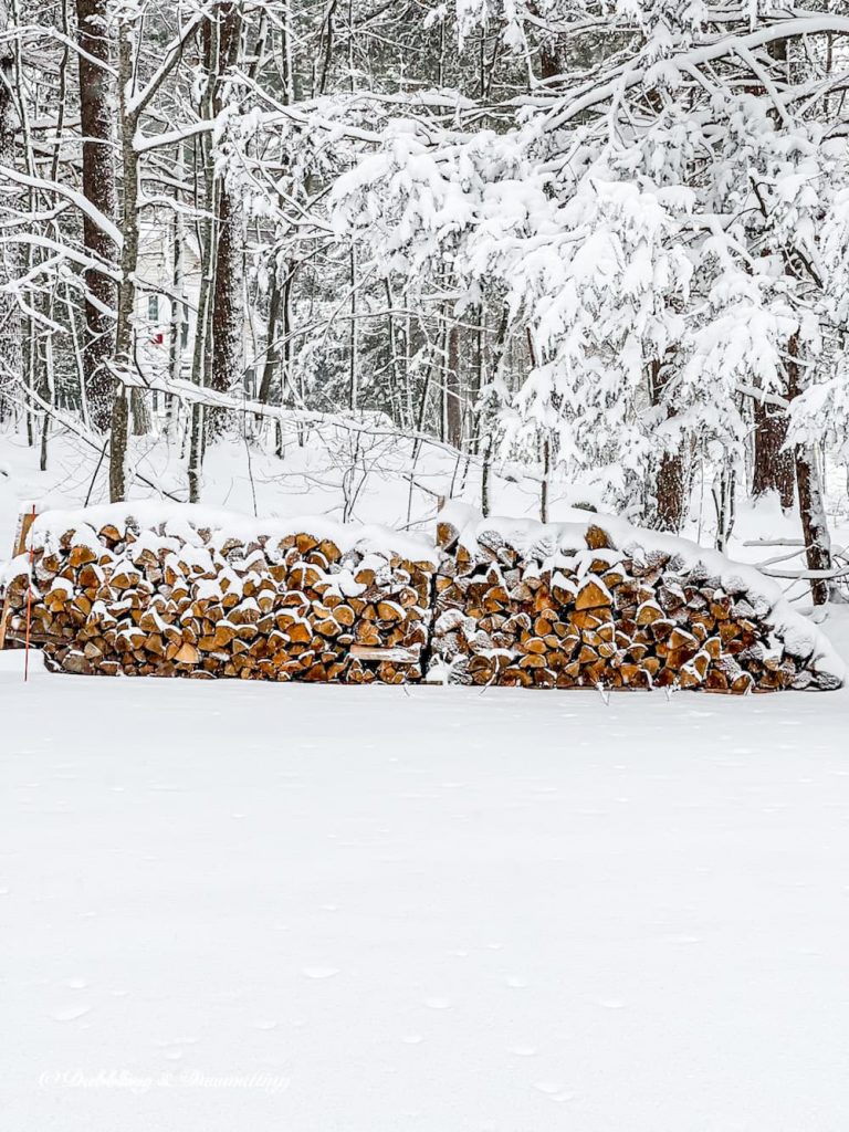 Snowy Firewood pile.