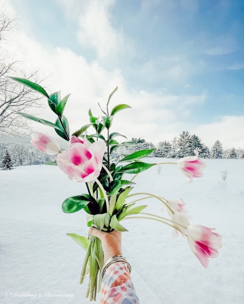 Pink Tulips