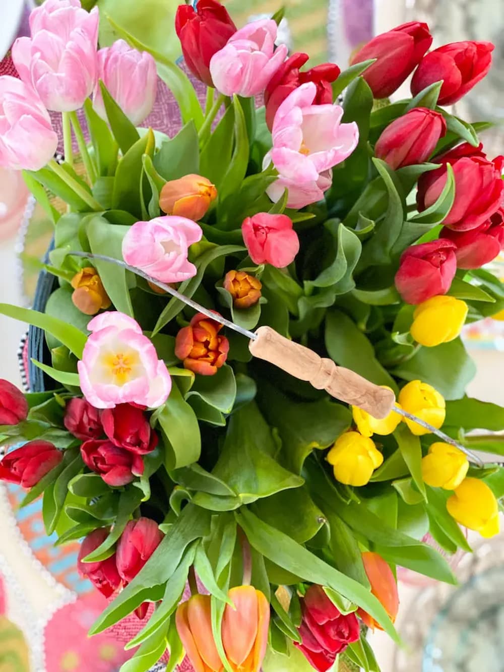 Colorful tulips in bucket.