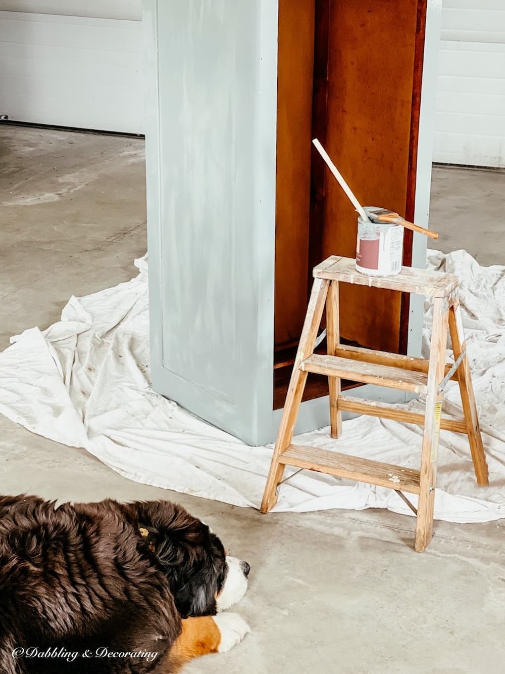 Bernese Mountain Dog and paint on ladder with blue freestanding closet.