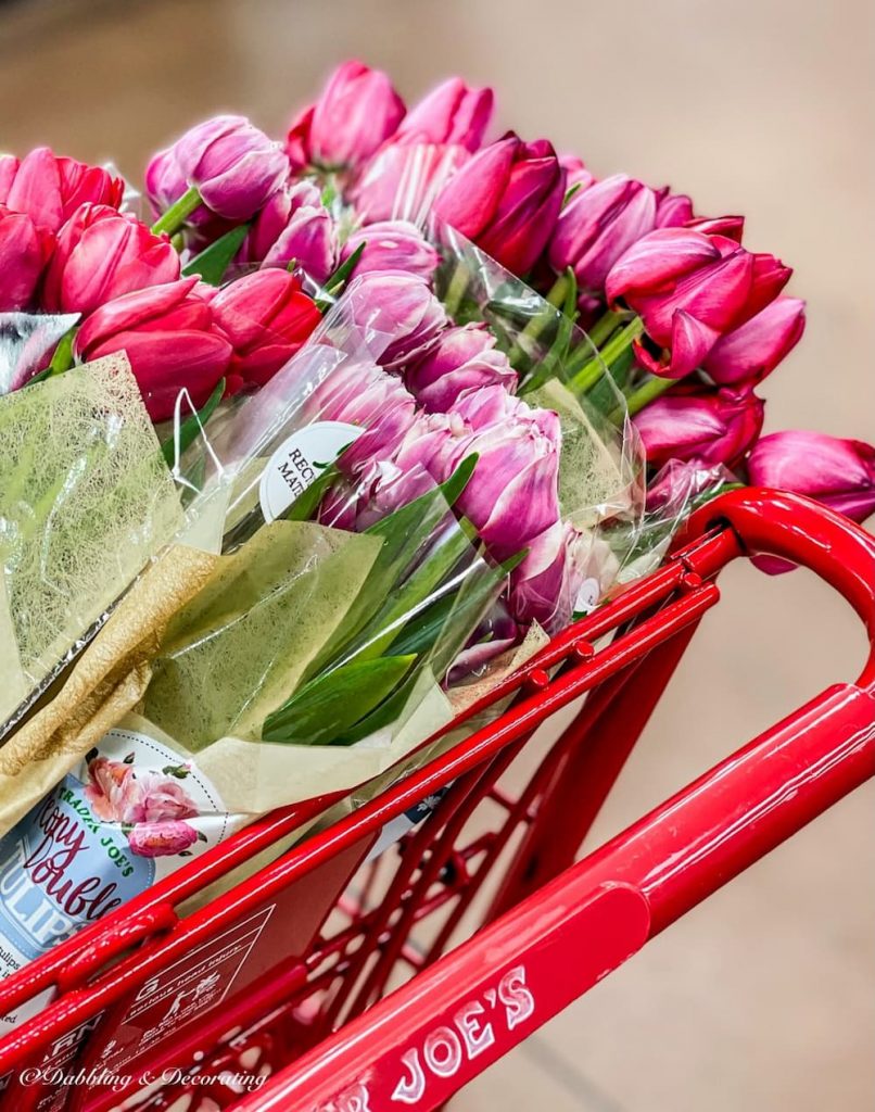 Pink Tulips