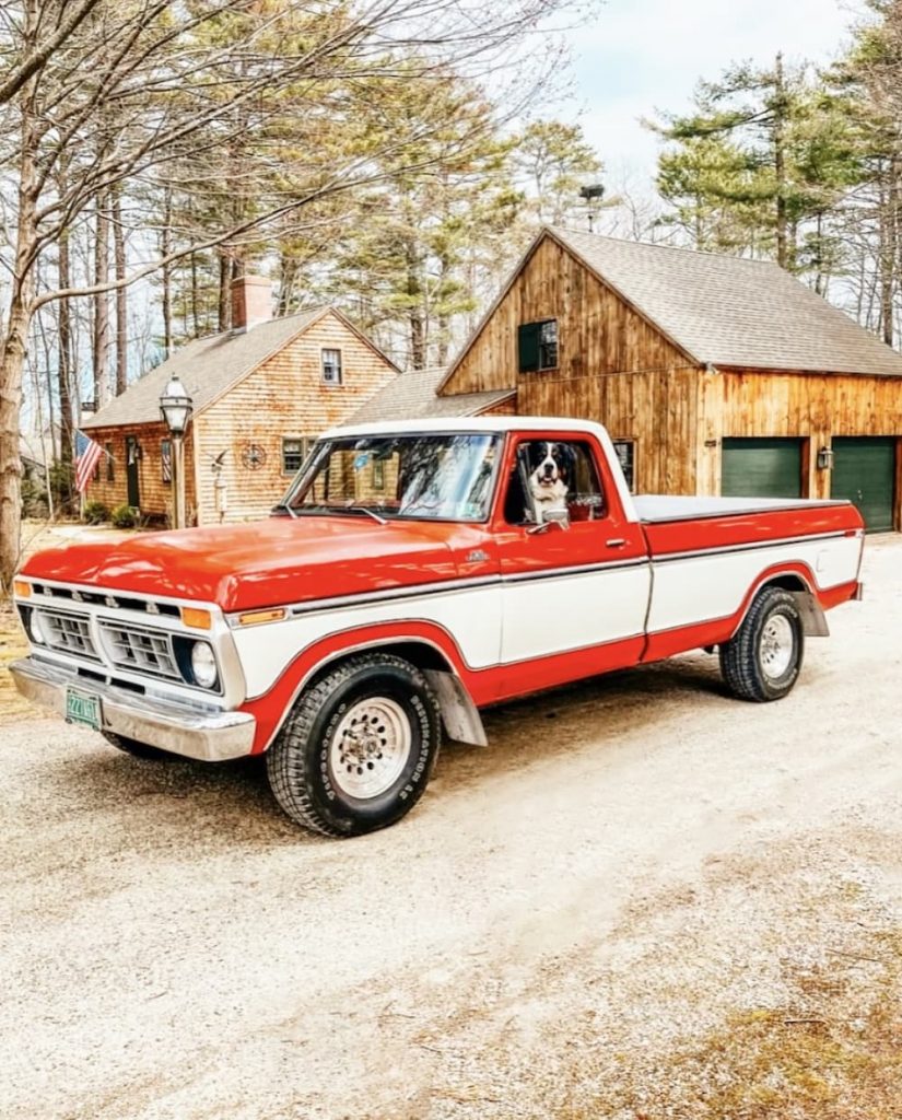 Vintage Red Truck and Dog