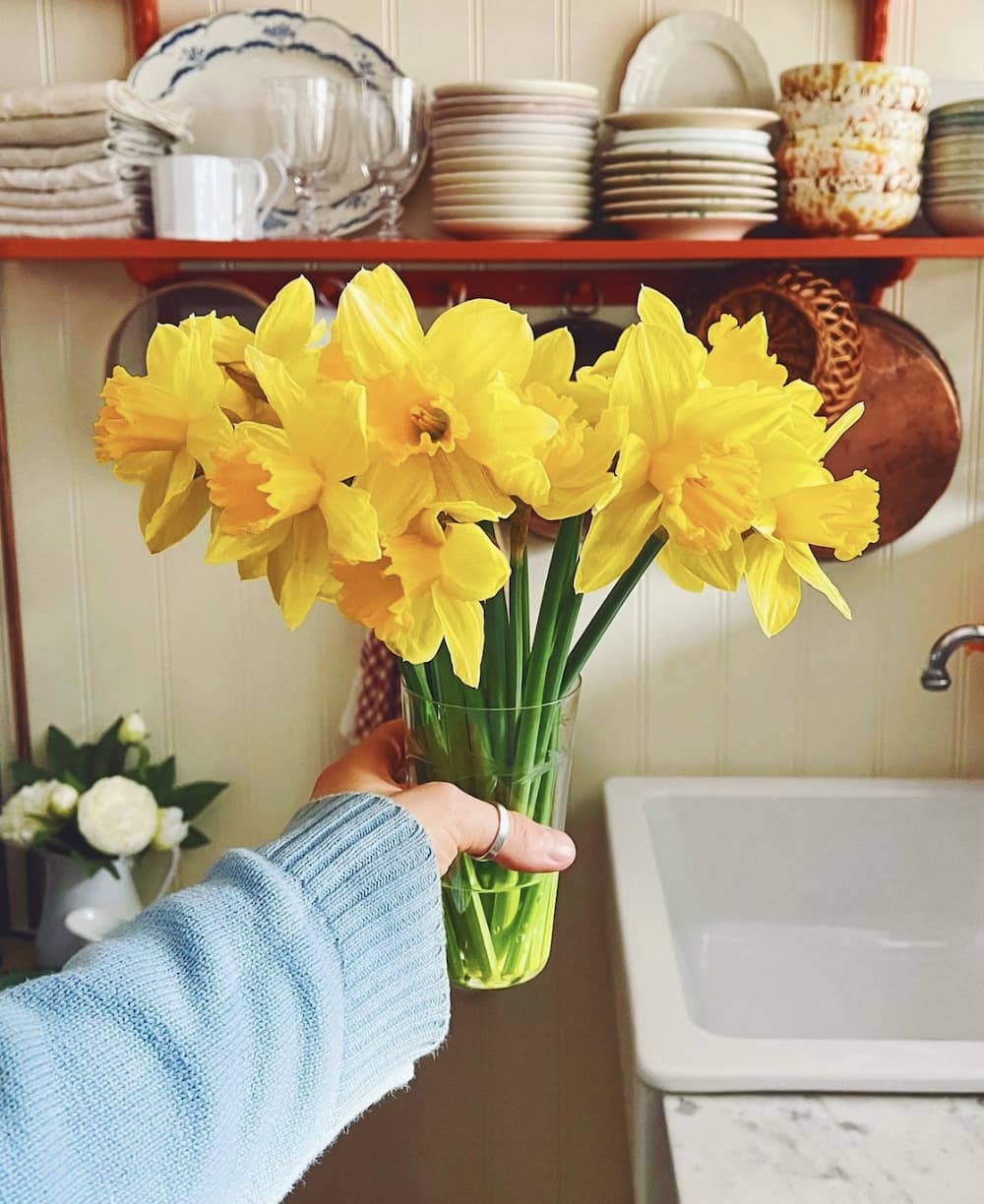 Yellow Flowers