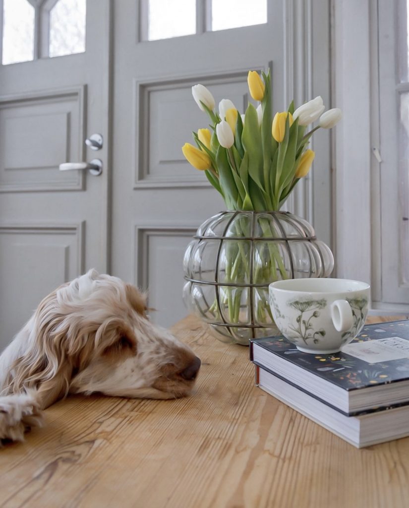 Dog and Flowers