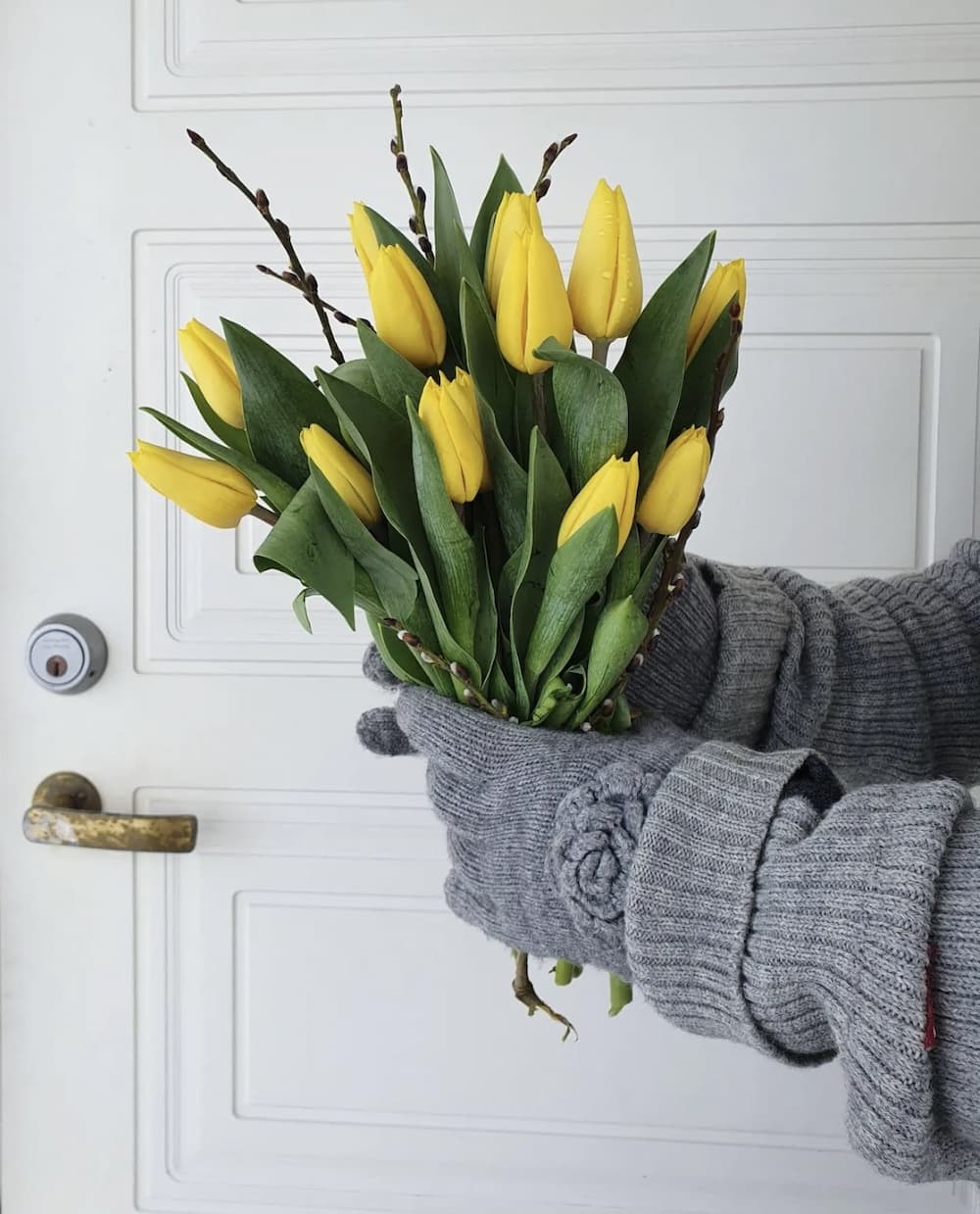 Yellow Tulips