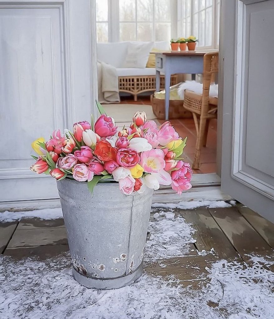 Bucket of Tulips