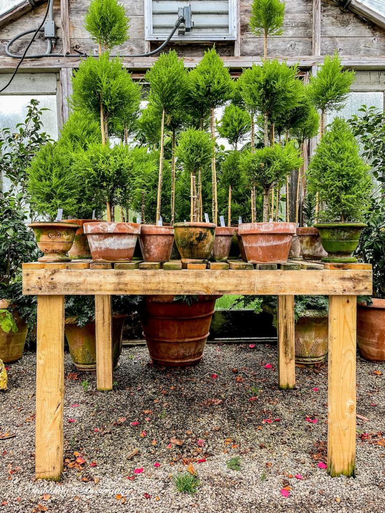 Snug Harbor Farm Topiaries