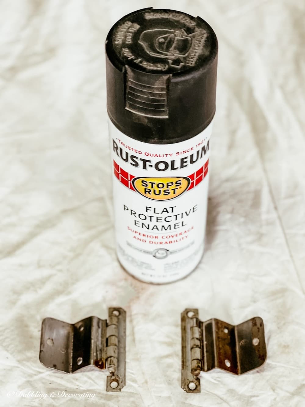 Spray Paint and Hinges