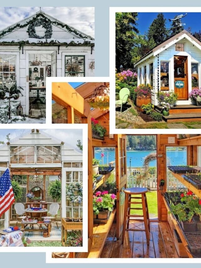 Gorgeous Greenhouses to Swoon Over