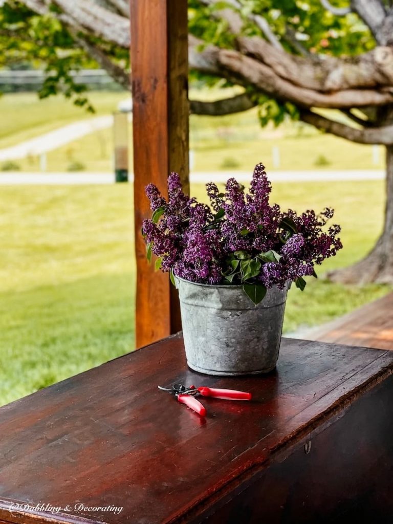 Galvanized Flower Buckets with lilacs.