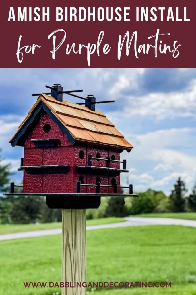 Amish Birdhouse Install for Purple Martins